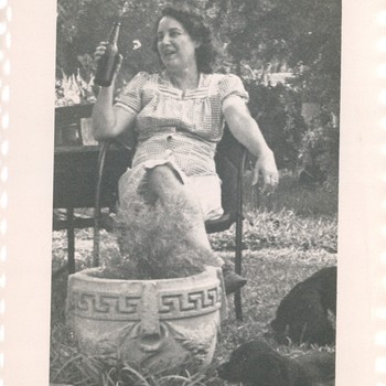 Photo of Bombi Dausin